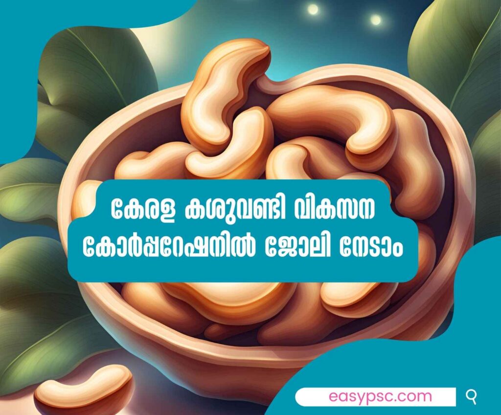 Get a job in Kerala Cashew Development Corporation